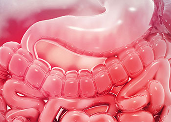 Tile Picture EAGEN: Clinical Algorithms Implementation in Partnership of Primary Care Physician and Gastroenterohepatologist