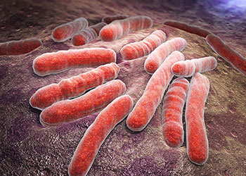 Tile Picture Bacterial Survival Strategies